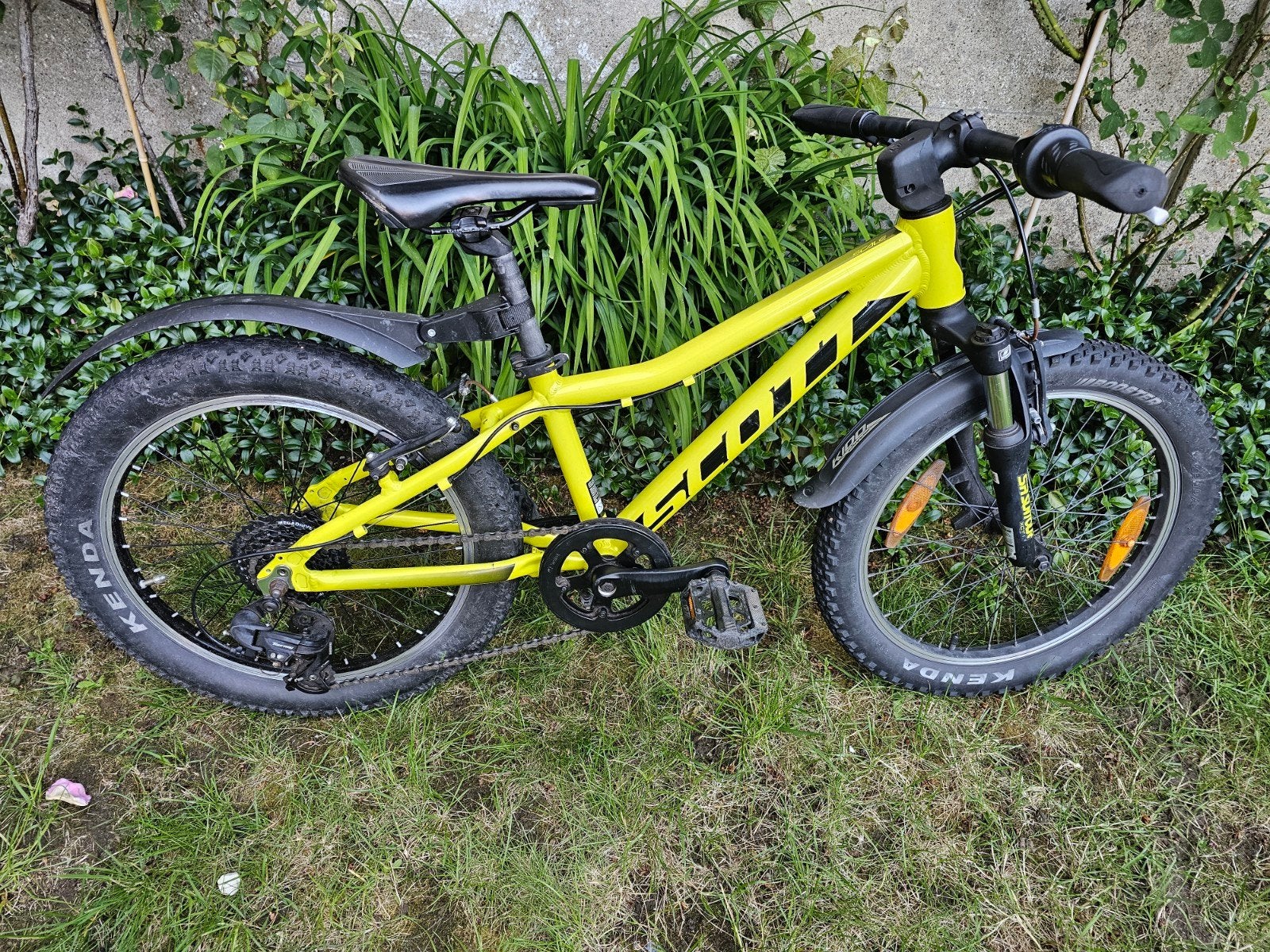 Scott scale 20 inch, Enlèvement