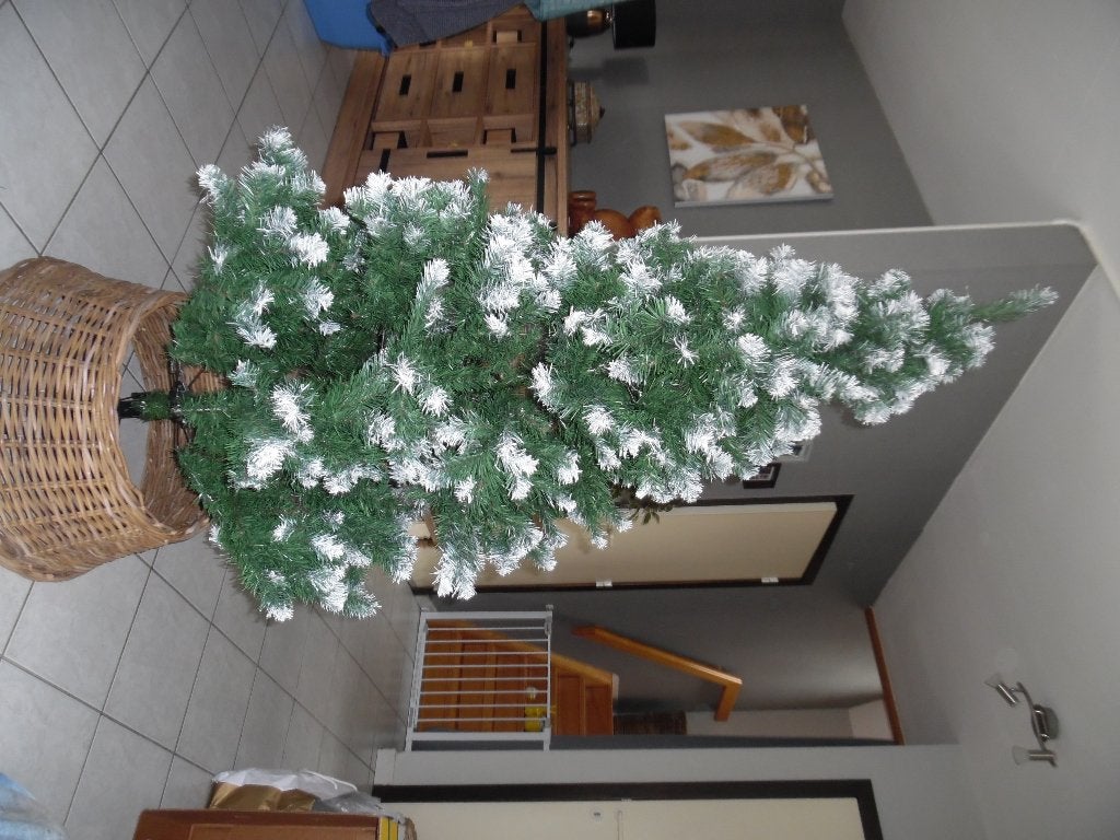 kerstboom met versiering, Ophalen, Nieuw
