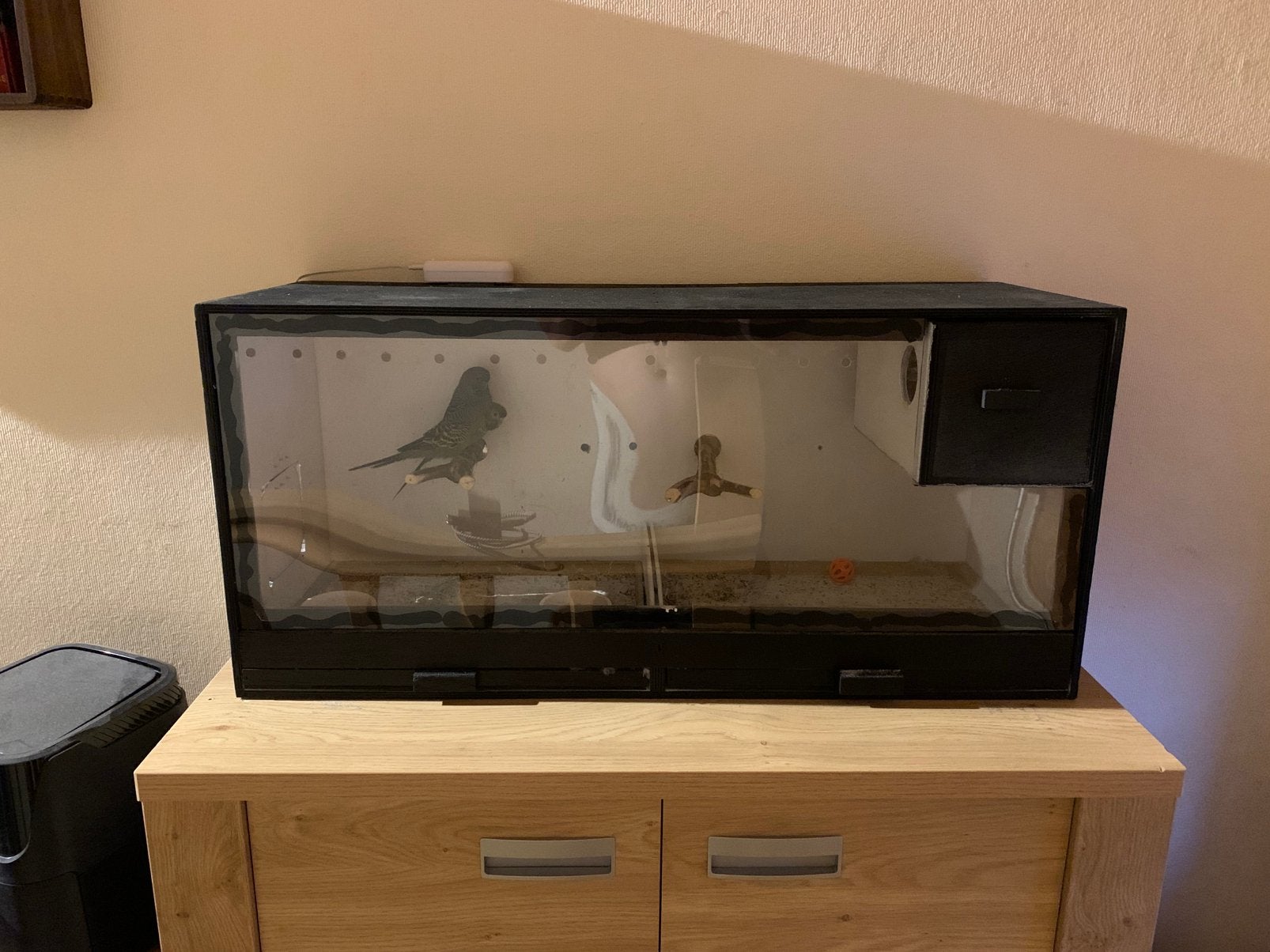 Propere binnen kweekkooi, Ophalen, Zo goed als nieuw, Hout, Broedkooi of Kweekkooi