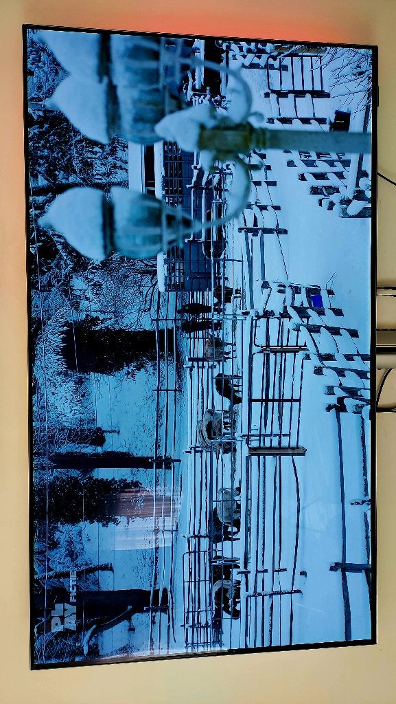 TV PHILIPS 65OLED805 en très bon état., TV, Hi-fi & Vidéo, Philips, Enlèvement, Utilisé, 100 cm ou plus