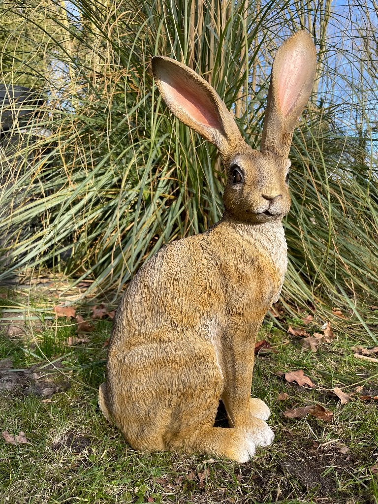 Beeld haas zittend, tuin, konijn, vijver 54cm, Ophalen, Nieuw, Kunststof, Dierenbeeld