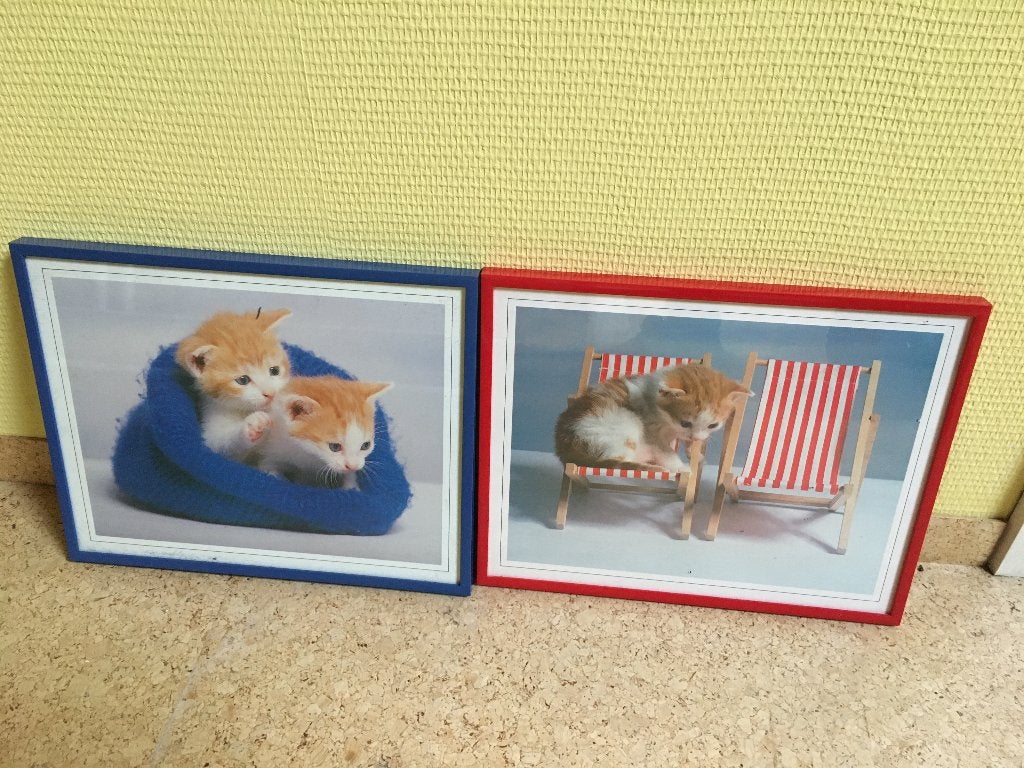 2 kadertjes katjes, Ophalen of Verzenden, Nieuw, Wanddecoratie