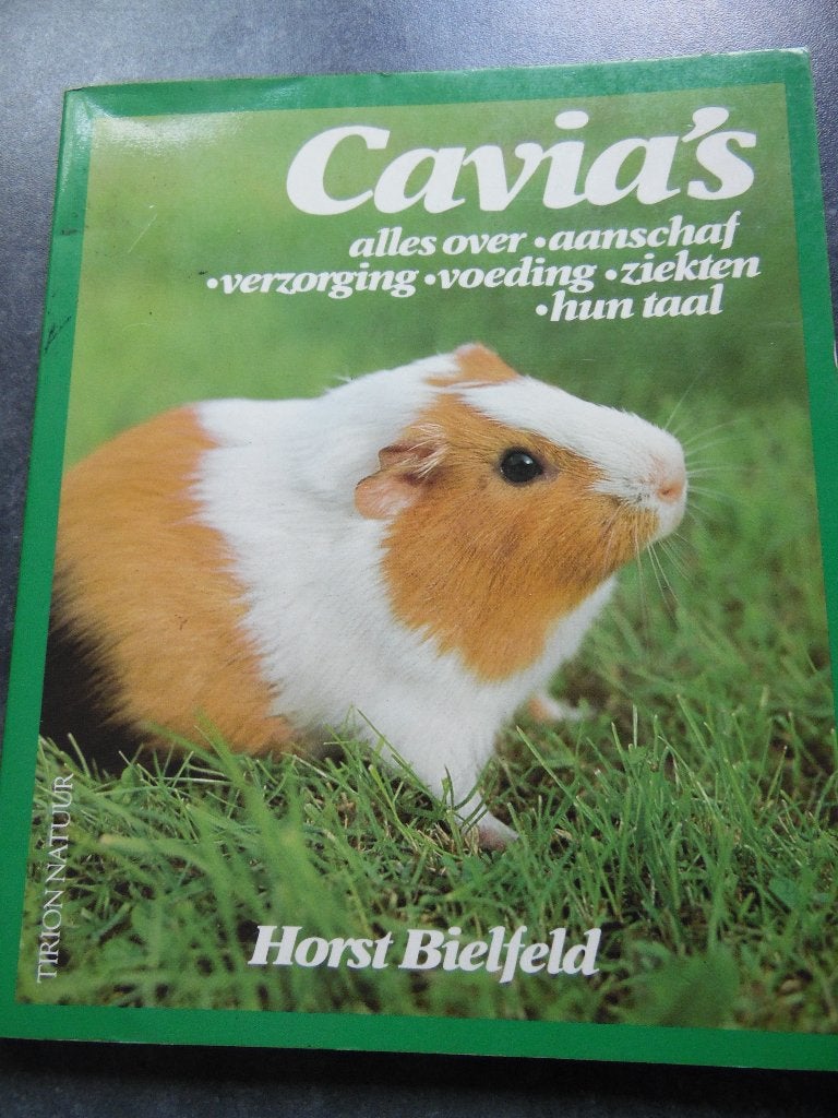 Cavia, Enlèvement ou Envoi, Comme neuf, Lapins ou Rongeurs, Horst Bielfeld/Deltas/Hans L Schippers