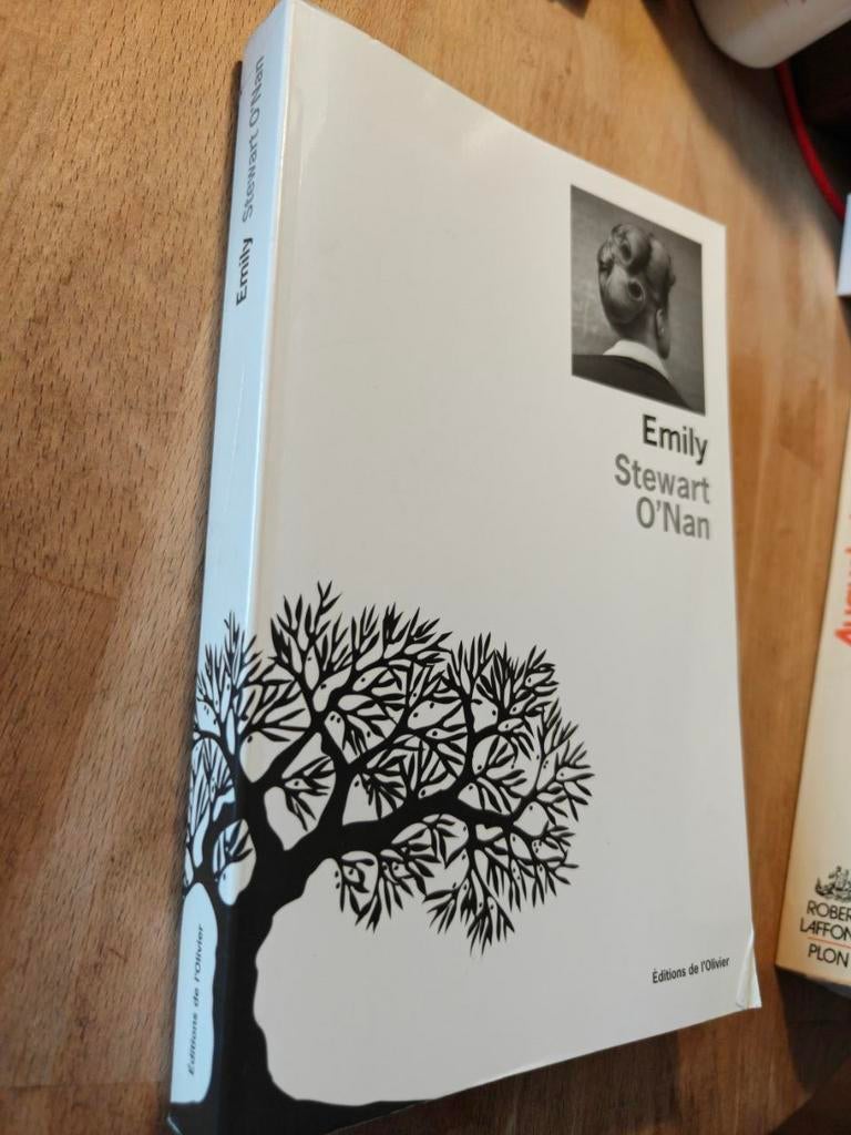 Emily par Stewart O’Nan, Ophalen of Verzenden, Gelezen