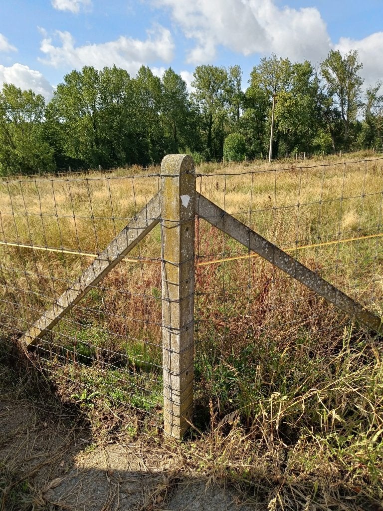Fermeture : poteaux en béton, y compris grillage, Enlèvement, Utilisé, 180 à 250 cm, Poteaux
