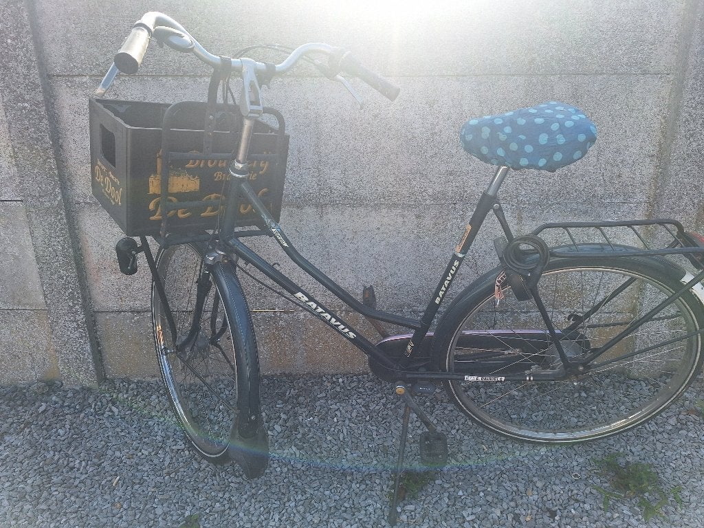 Dames fiets Batavus, Fietsen en Brommers, Fietsen | Dames | Damesfietsen, Ophalen, Gebruikt, Batavus, Versnellingen