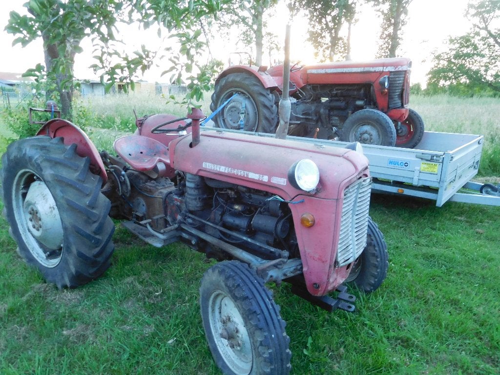 MF 35 en 65, Ophalen, Oldtimer, Tot 80 Pk, 7500 tot 10000