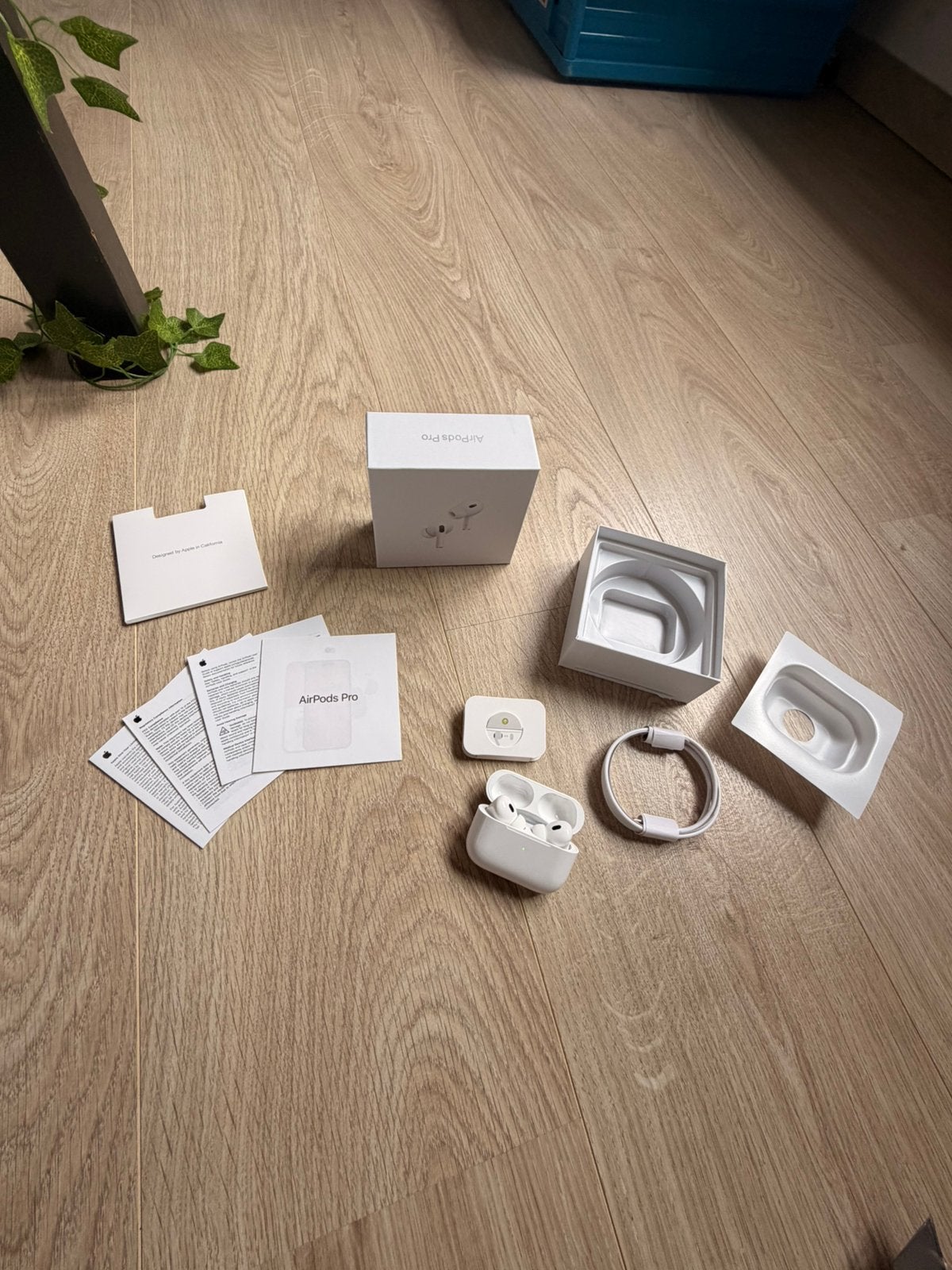 AirPods pro2, Enlèvement ou Envoi, Neuf