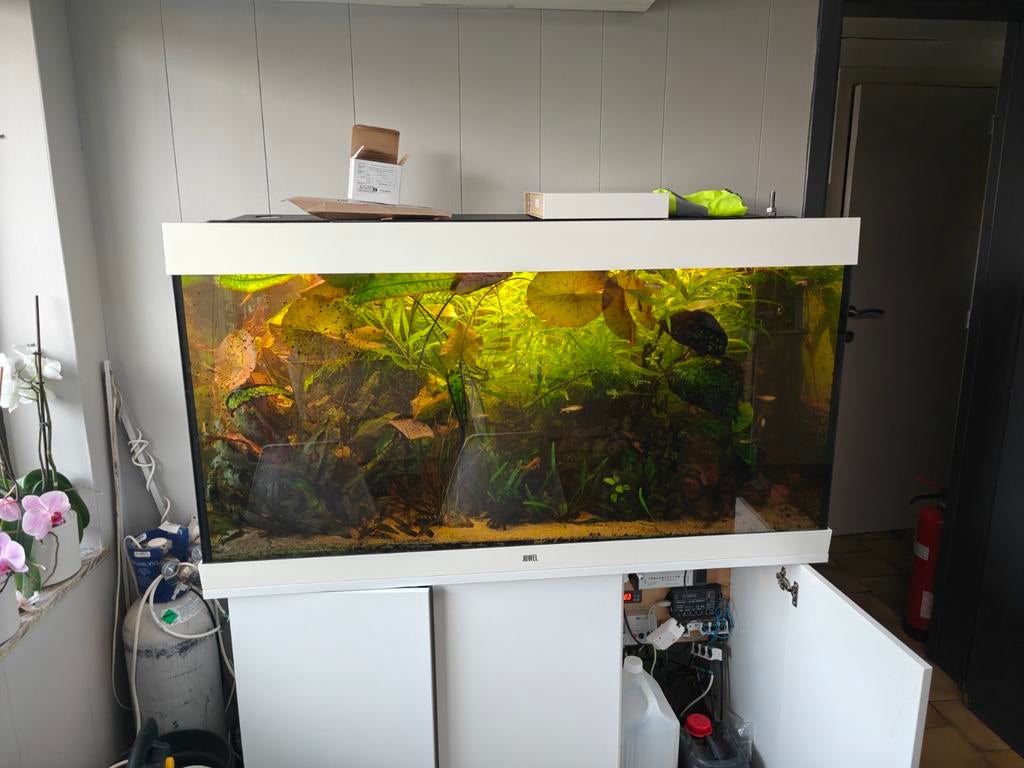 Aquarium juwel rio 350 met kast in het wit hoogglans., Ophalen, Filter, Juwel