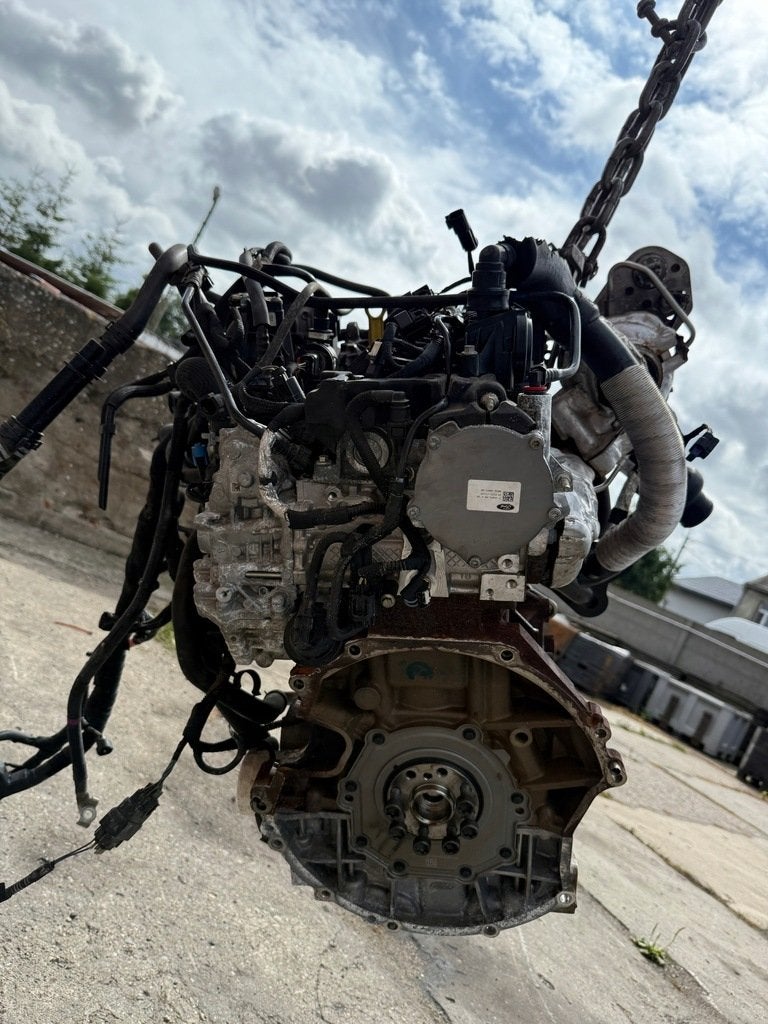 Moteur YMR6 Complet TRANSIT FORD, Autos : Pièces & Accessoires, Moteurs & Accessoires, Alfa Romeo, Pièces américaines, Audi, BMW