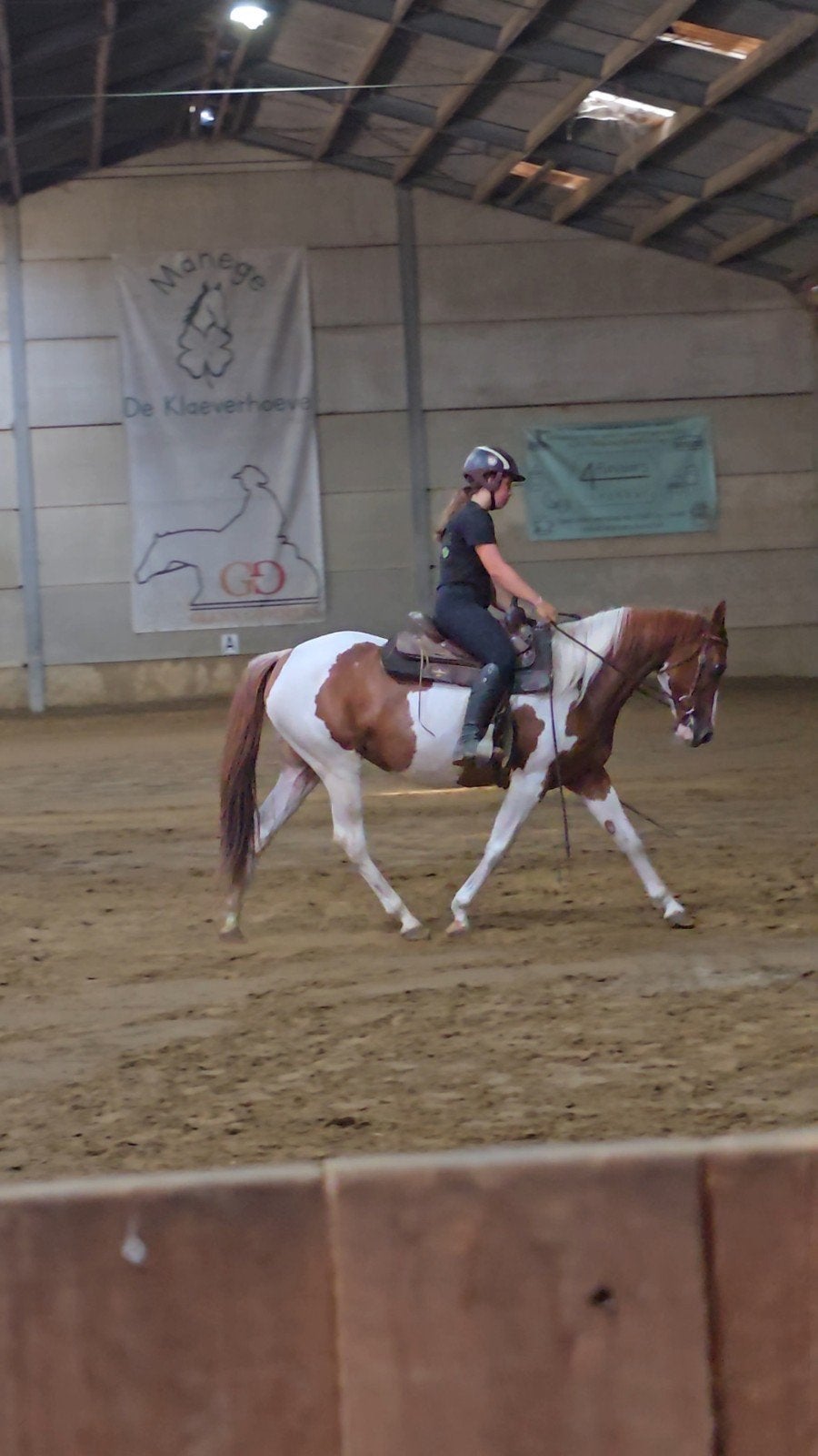 Lieve merrie zoekt haar forever home, Avec puce électronique, 11 ans ou plus, Débourré, Moins de 160 cm