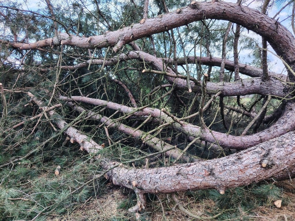 Bois de chauffage à vendre, 3 à 6 m³, Enlèvement, Autres essences de bois, Bûches
