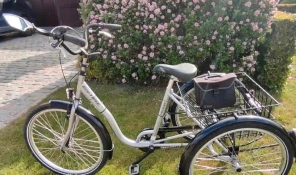 Driewieler ecotrike cm goed shop Nieuwstraat, Ophalen, Ecotrike, Verstelbare zitting, Velgrem