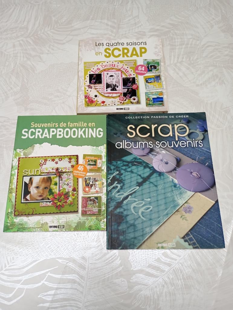 Lot livres Scrapbooking, Ophalen of Verzenden, Scrap