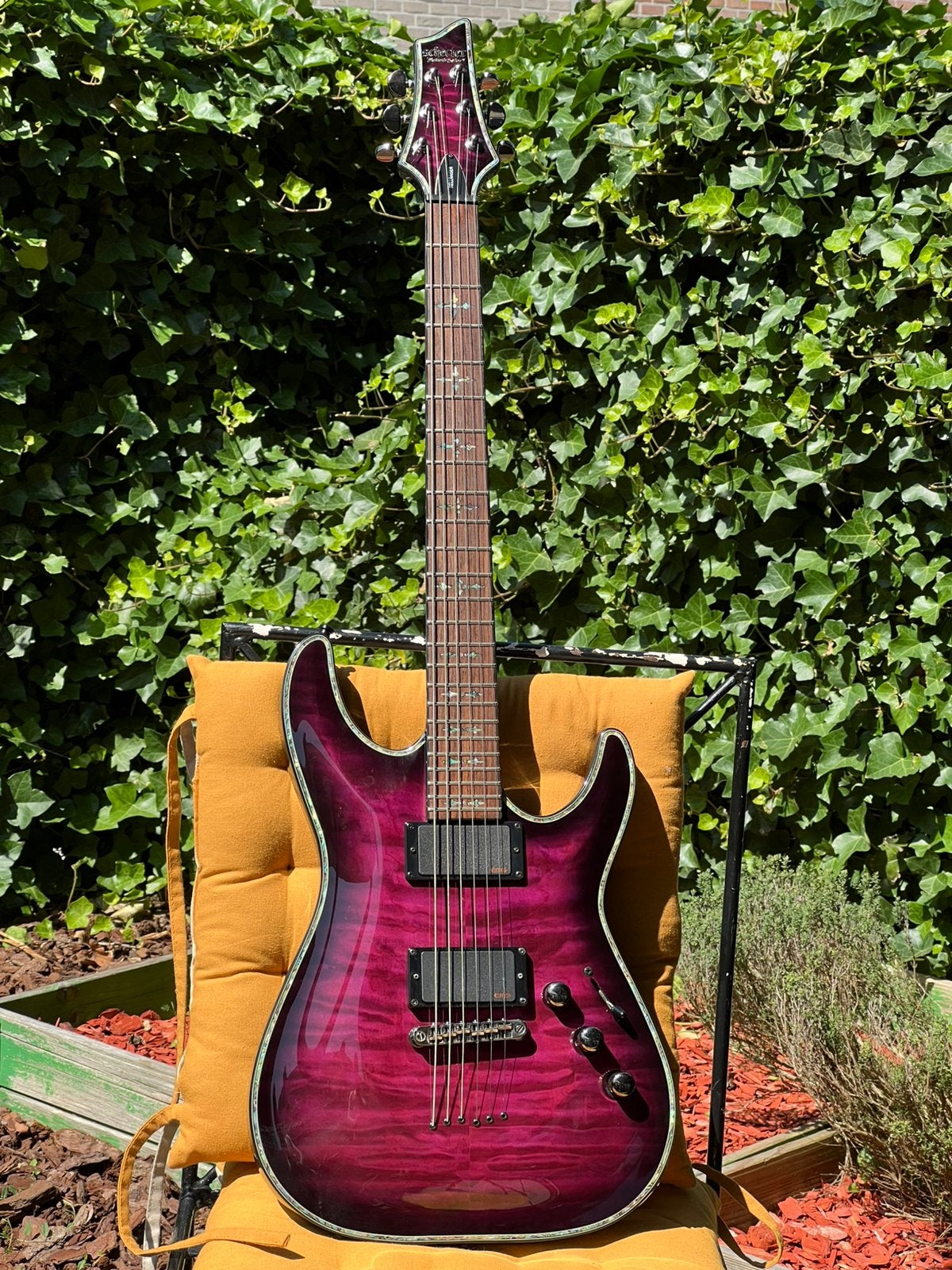 Schecter C1 Hellraiser Trans Purple Burst (zeldzaam), Ophalen