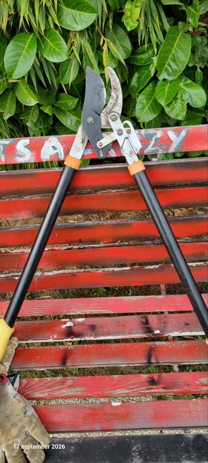 Secateur pour branches  jusqu'à 3-4 cm, Enlèvement