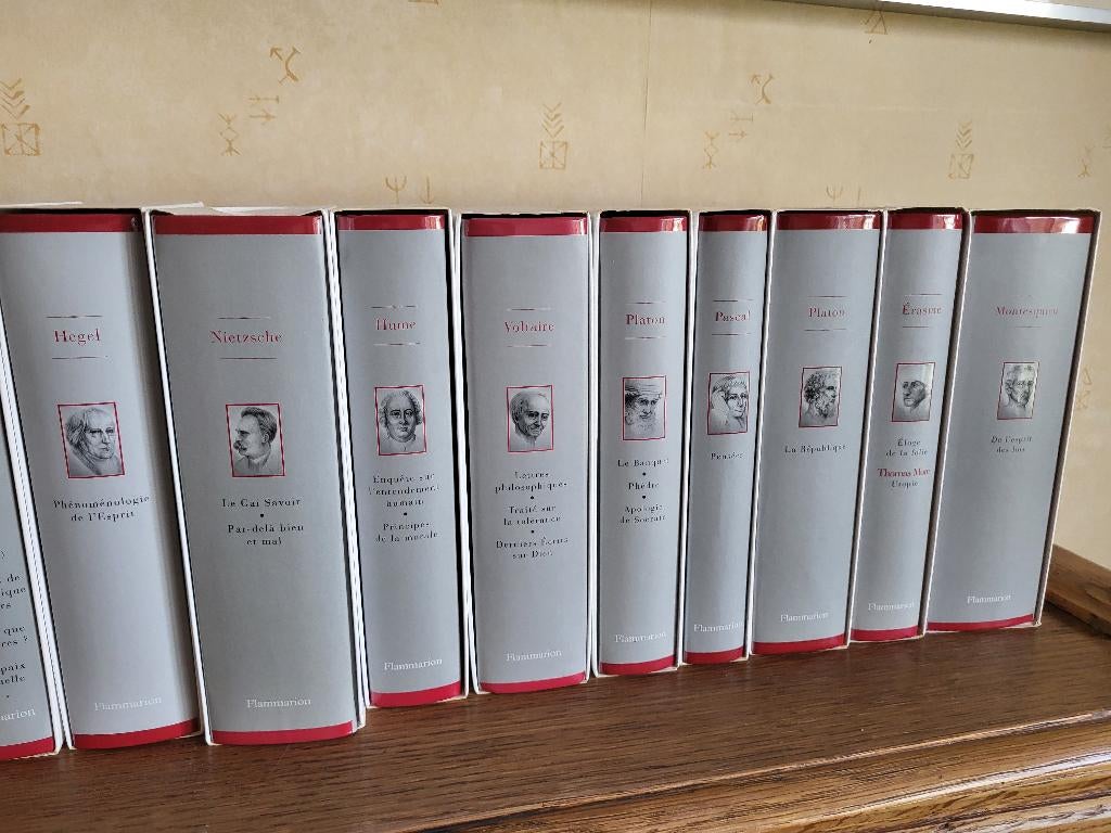 Livres  les grands philosophes, Boeken, Filosofie, Ophalen, Zo goed als nieuw, Cultuurfilosofie
