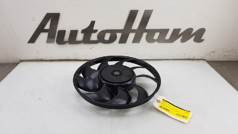 KOELVIN Ford Kuga II (DM2) (01-2012/06-2019), Dhr. J. Ham, Gebruikt, Administratie@autoham.nl, Ford