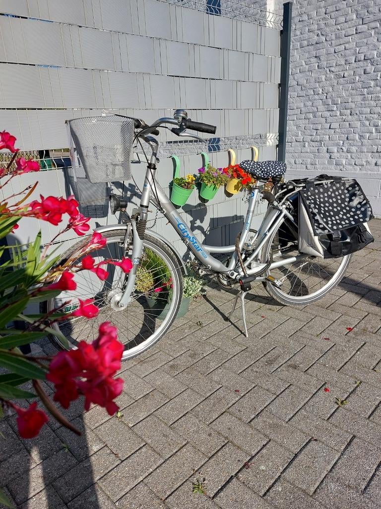 Damesfiets 28 inch, Ophalen