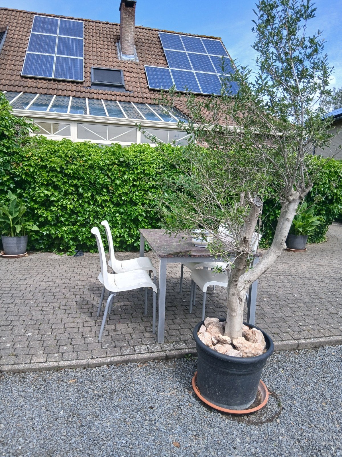 Studio te huur in Bierbeek, Immo, Appartements & Studios à louer