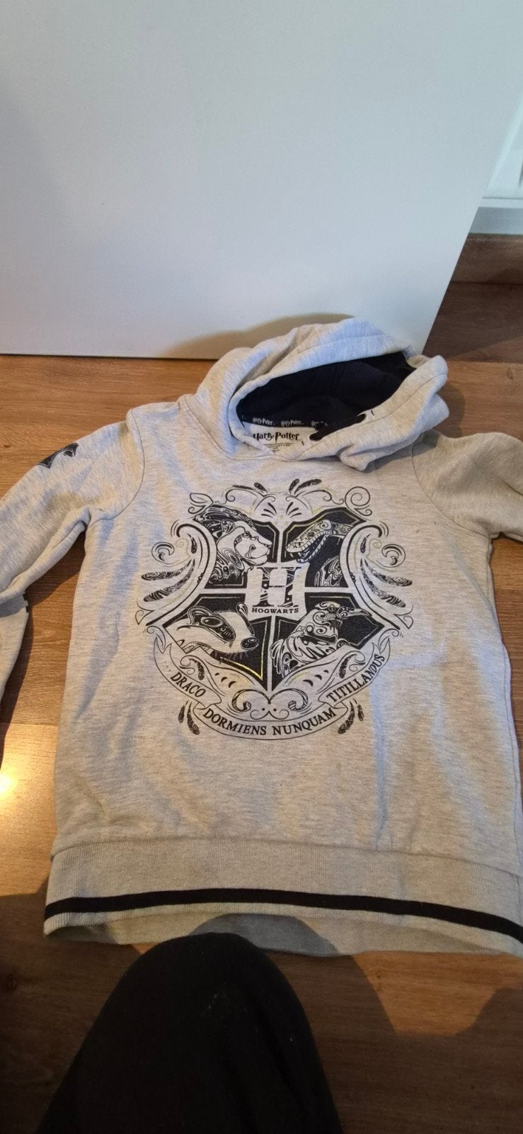 Sweat à capuche Harry Potter Hogwarts gris – 14 ans, Enlèvement, Comme neuf