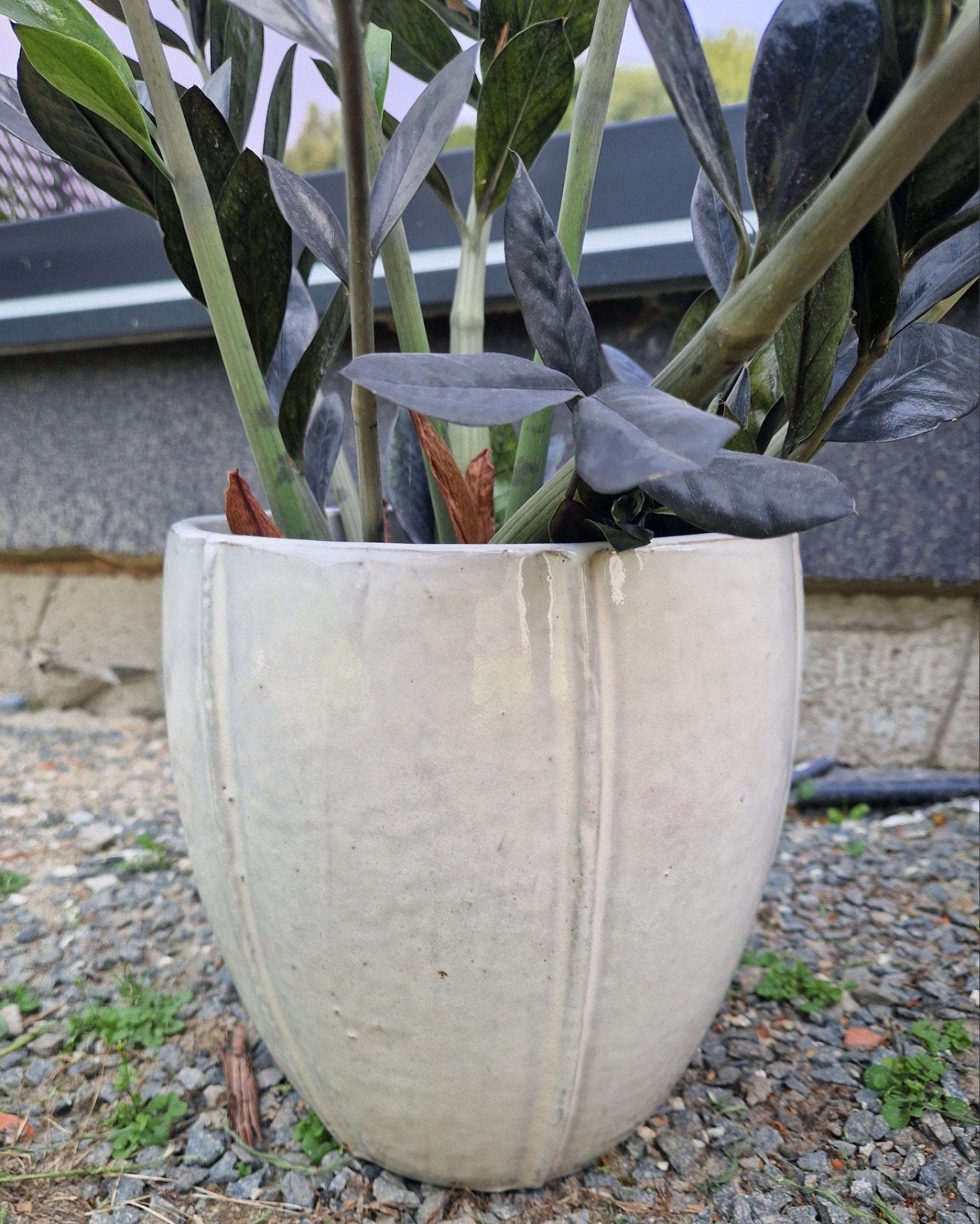 pot de fleurs avec ou sans plante, Jardin & Terrasse, Pots de fleurs, Enlèvement