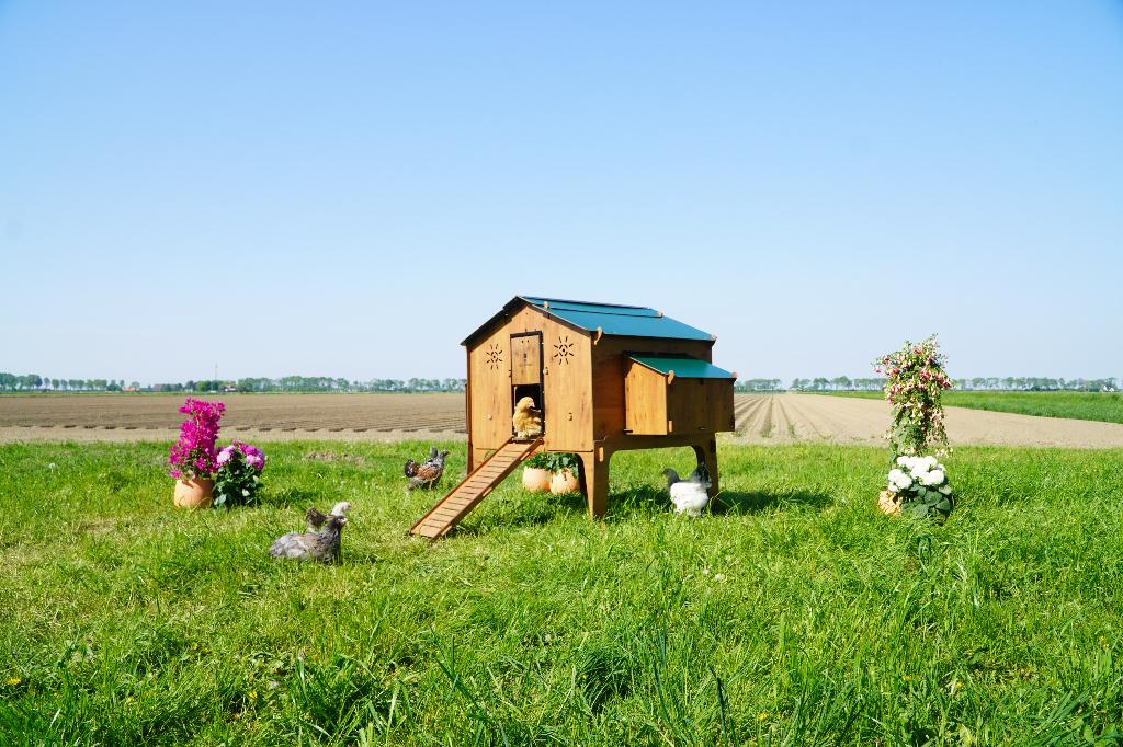 Trespa Kippenhok Cucciolotta | Duplex 4XL, Ophalen of Verzenden, Nieuw, Kippenhok of Kippenren