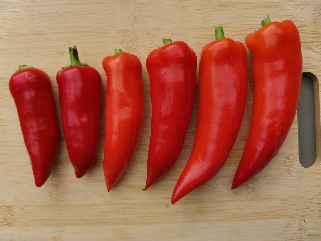 Sweet Banana paprika - 5 zaden, Tuin en Terras, Verzenden, Voorjaar, Zaad
