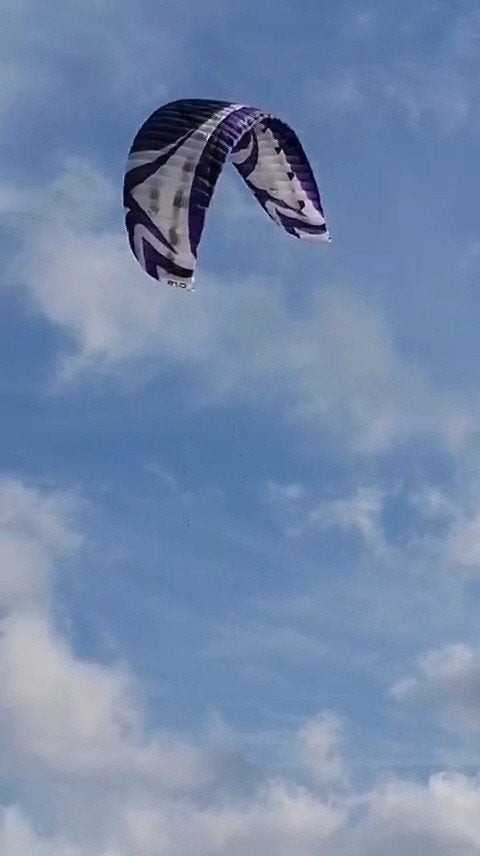 Flysurfer Speed 3 Édition limitée 21m², Utilisé, Kite, 16 m² ou plus, Enlèvement