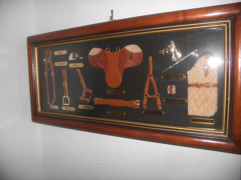 Cadre - vitrine - hippisme - équestre - cheval. C, Animaux & Accessoires, Autres accessoires pour animaux, Enlèvement ou Envoi