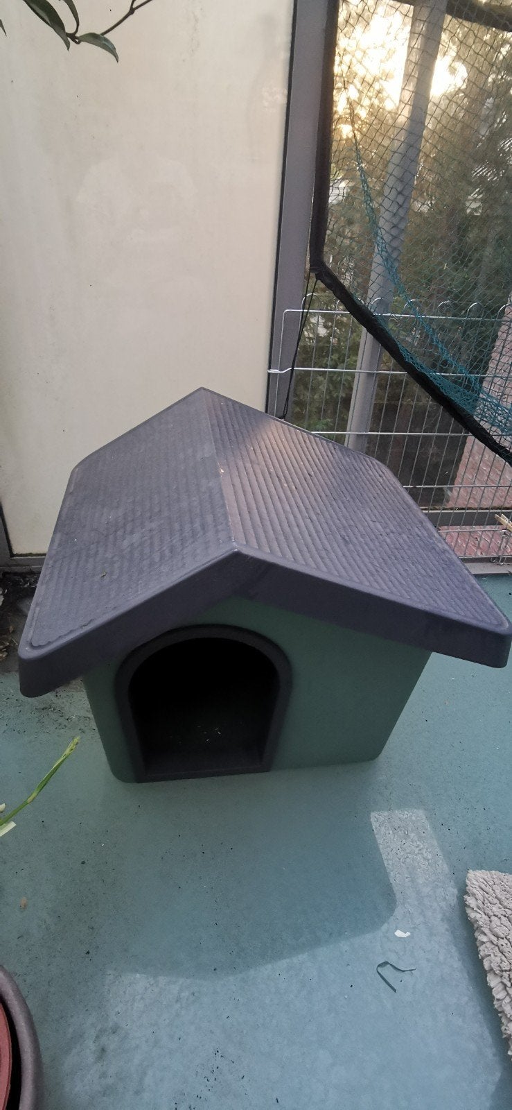 Maison pour chat ou lapin, Enlèvement