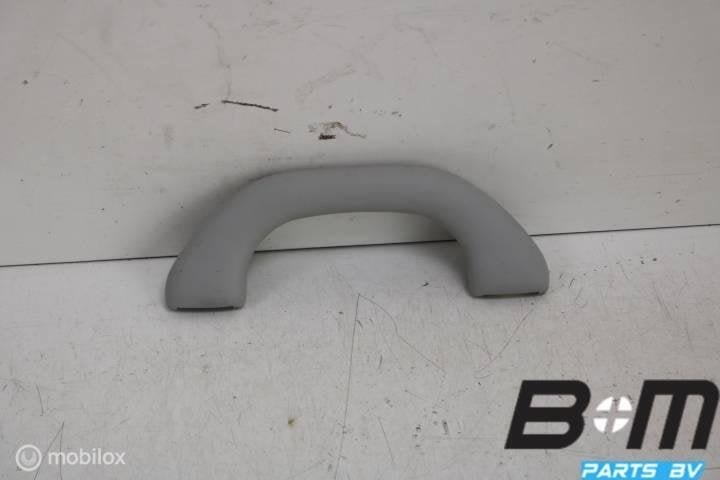 Handgreep in hemel LV of RV VW Golf Plus 6 1K0857607M, Gebruikt