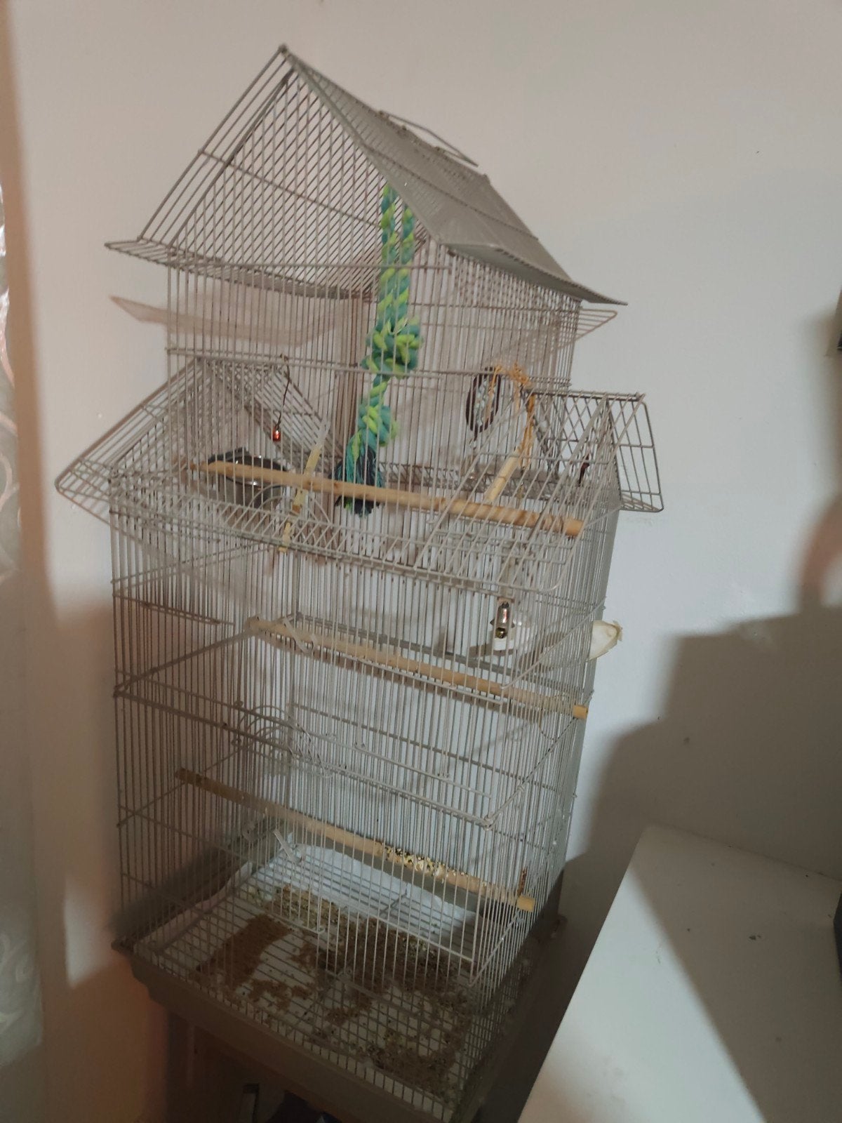 grote huis van parkiten en papagaien, Ophalen of Verzenden
