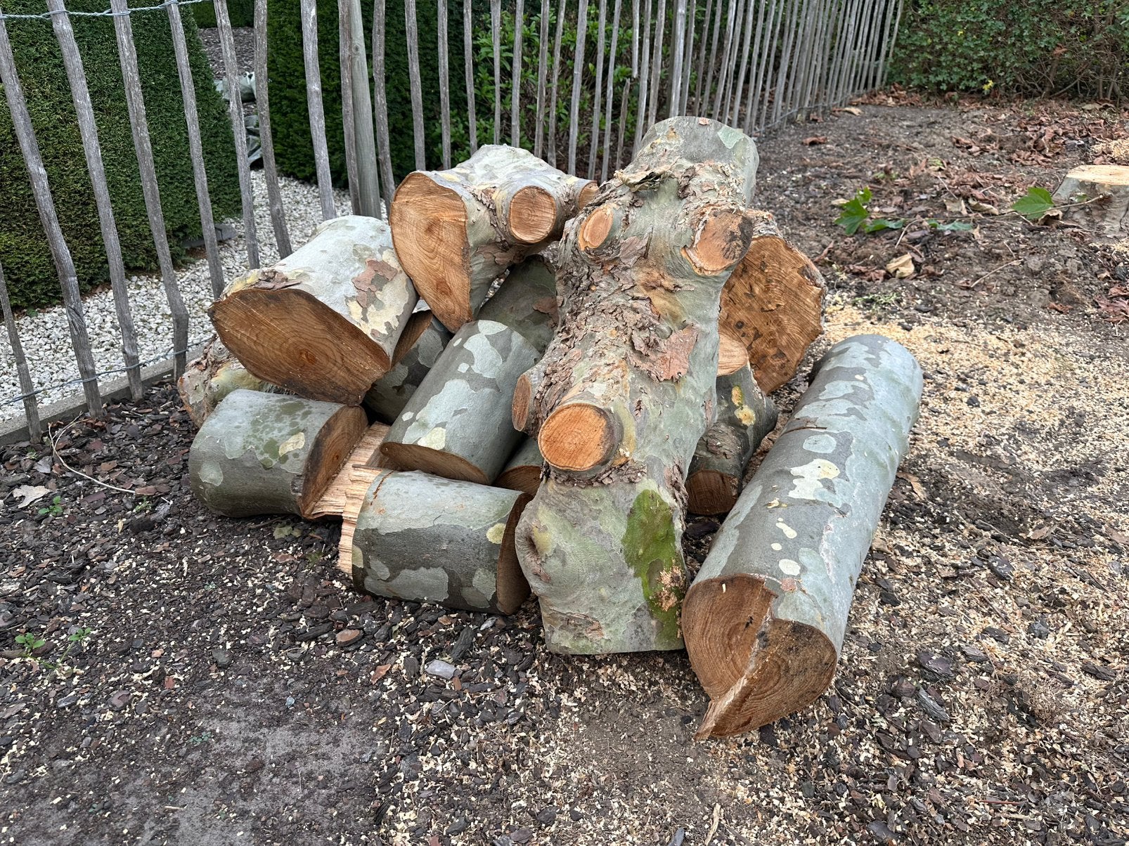 Gratis hout, Minder dan 3 m³, Ophalen, Overige houtsoorten