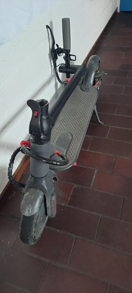 Pièces de marche à Louvain, Enlèvement