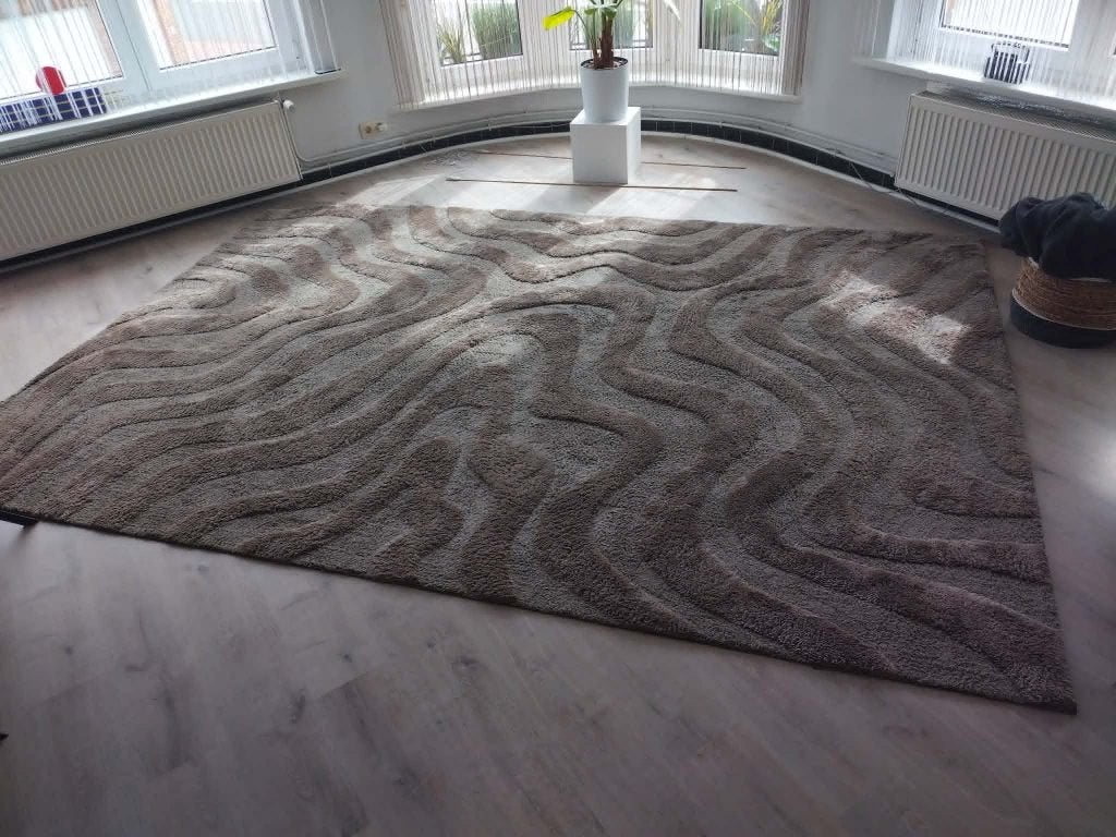 tapis beige, 200 cm ou plus, 200 cm ou plus, Beige, Comme neuf