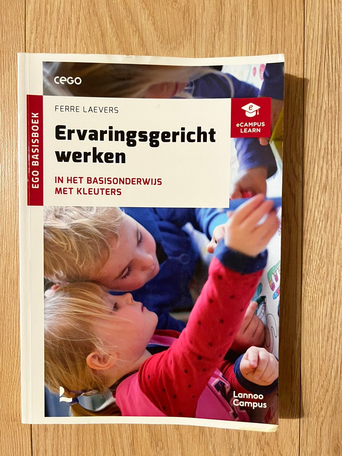Ervaringsgericht werken in het basisonderwijs met kleuters, Enlèvement, Ferre Laevers
