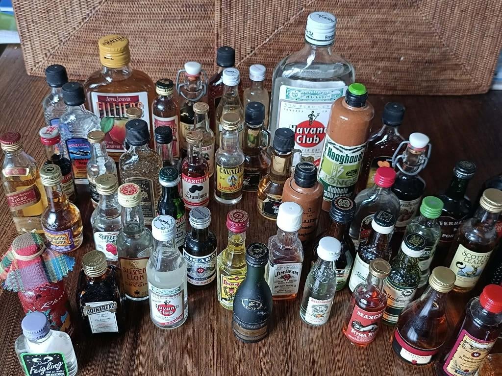 MINIATUUR DRANKENFLESJES, Ophalen, Zo goed als nieuw, Overige typen