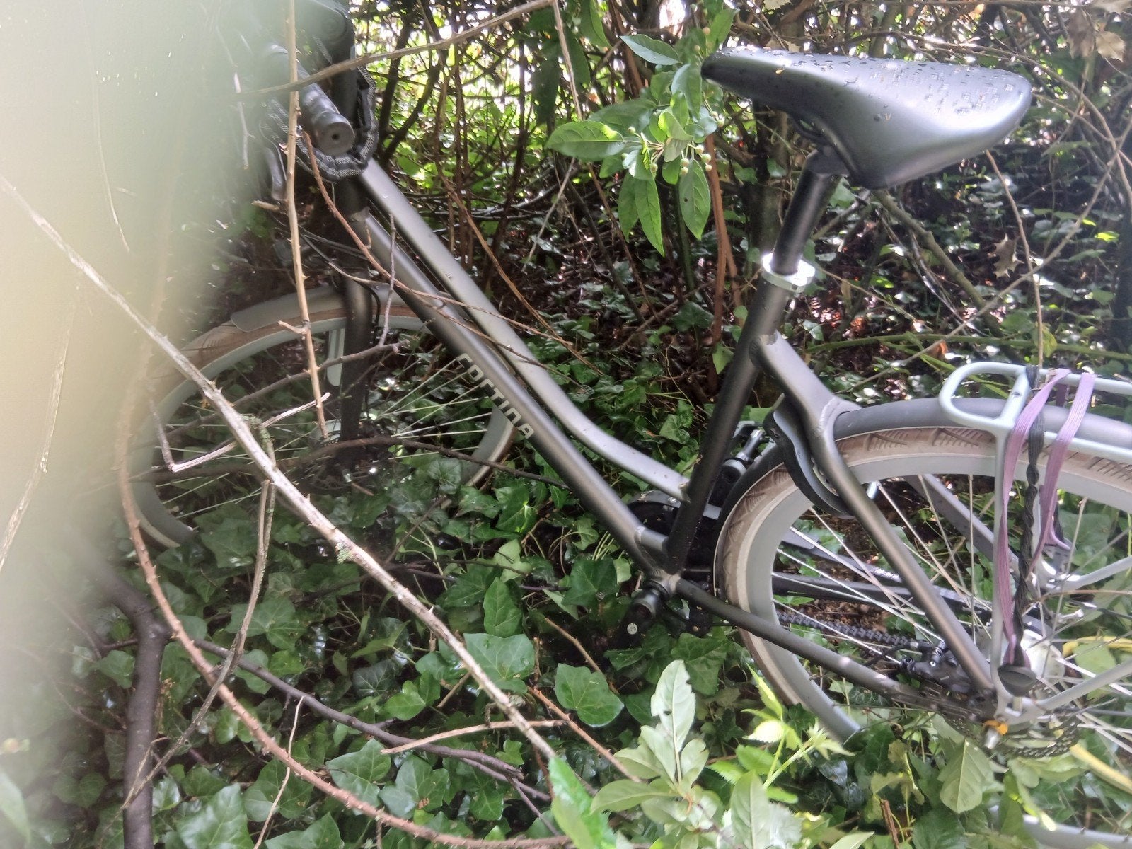 Degelijke cortina fiets, Ophalen