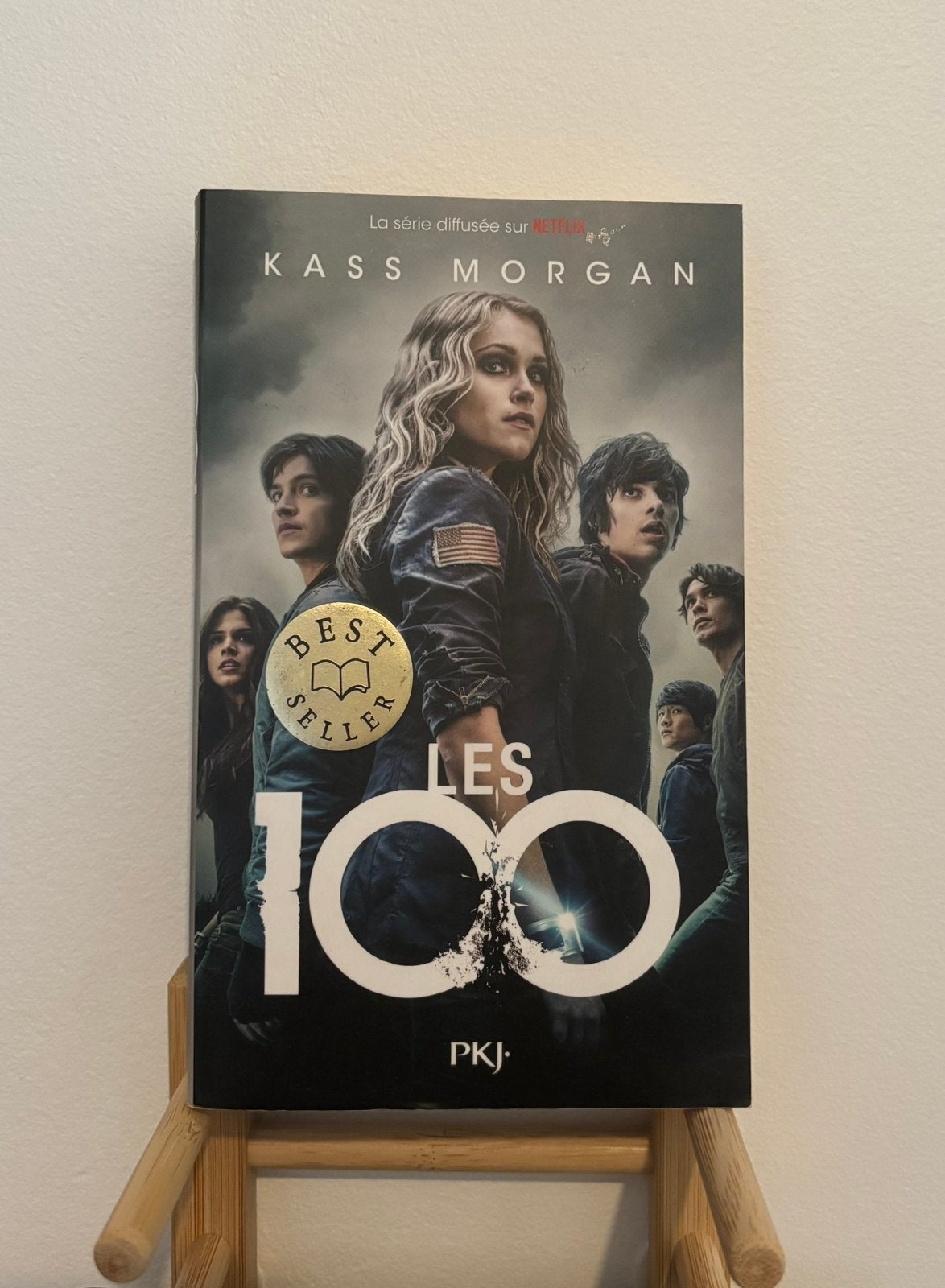 Livre les 100, Livres, Aventure & Action, Envoi, Neuf