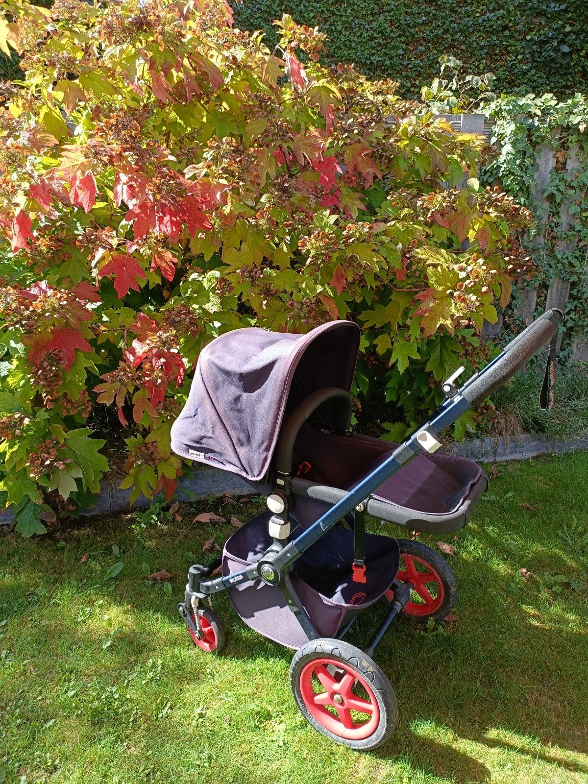 Bugaboo Cameleon, Kinderen en Baby's, Gebruikt, Bugaboo, Met reiswieg, Ophalen