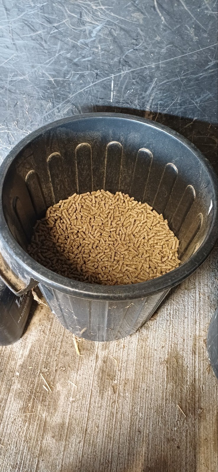 pavo podolac, Dieren en Toebehoren, Ophalen, Overige soorten