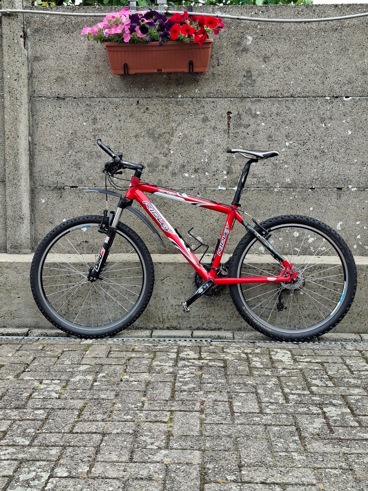 Mooie Ridley mountainbike fiets frame 45cm wielmaat 66cm, Fietsen en Brommers, Ophalen