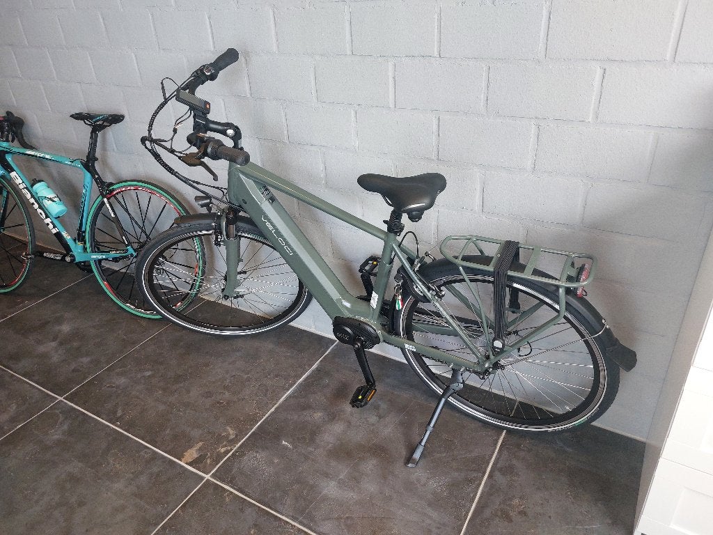 Veloci vivid, Enlèvement