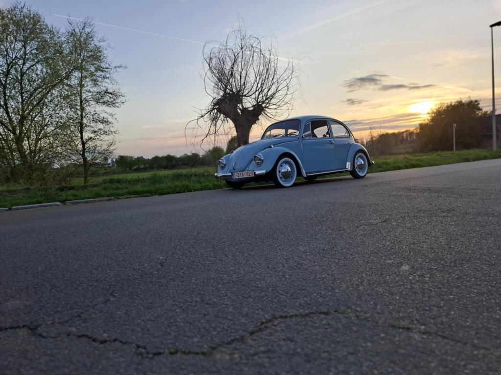 Coccinelle VW 1975, Contacts & Messages, Prédictions & Messages divers