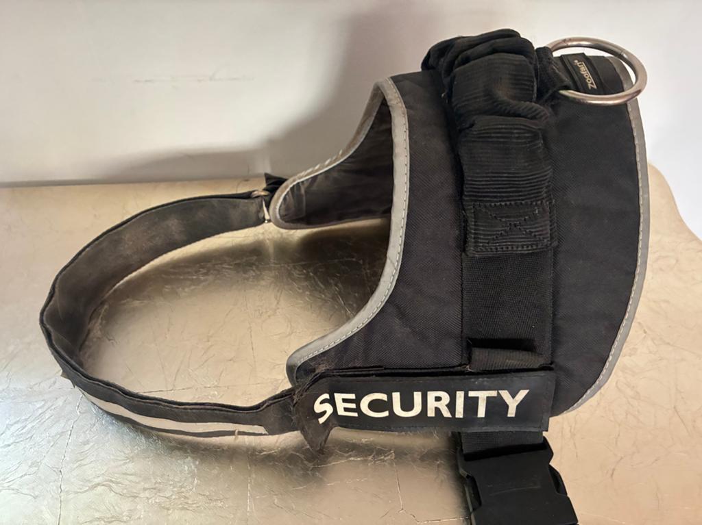 Accessoires pour grands chiens, Enlèvement, Utilisé