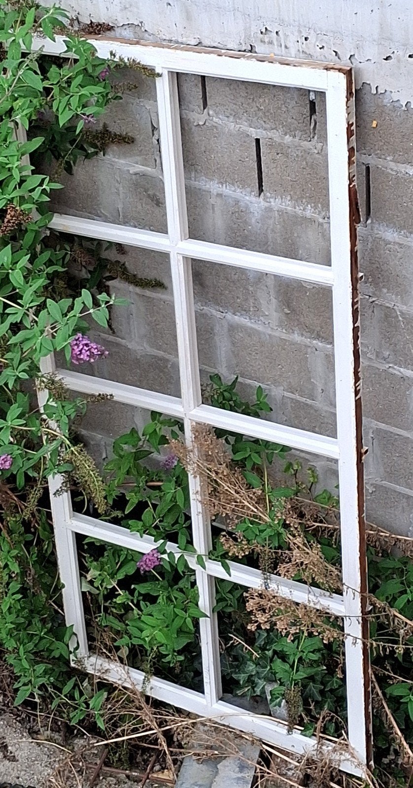 frame met glas, Ophalen, Gebruikt, Overige typen