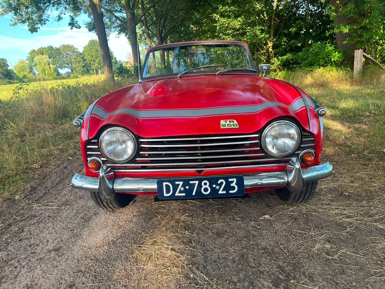 Triumph Tr250 / 1968 / gereviseerde motor, foto 6