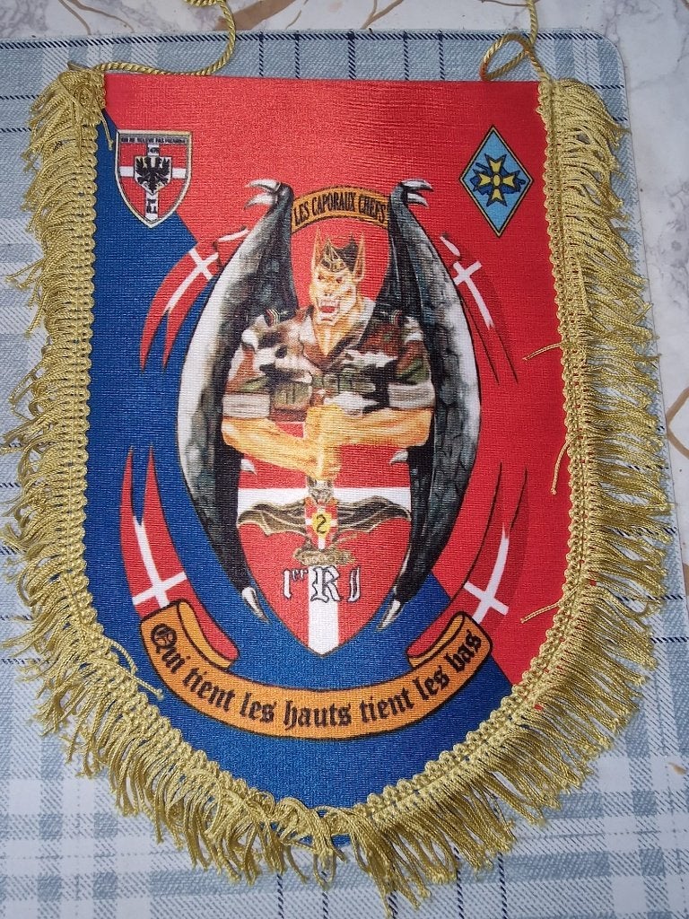 fanions 1er régiment d'infanterie français, Collections, Enlèvement ou Envoi, Armée de terre, Drapeau ou Bannière