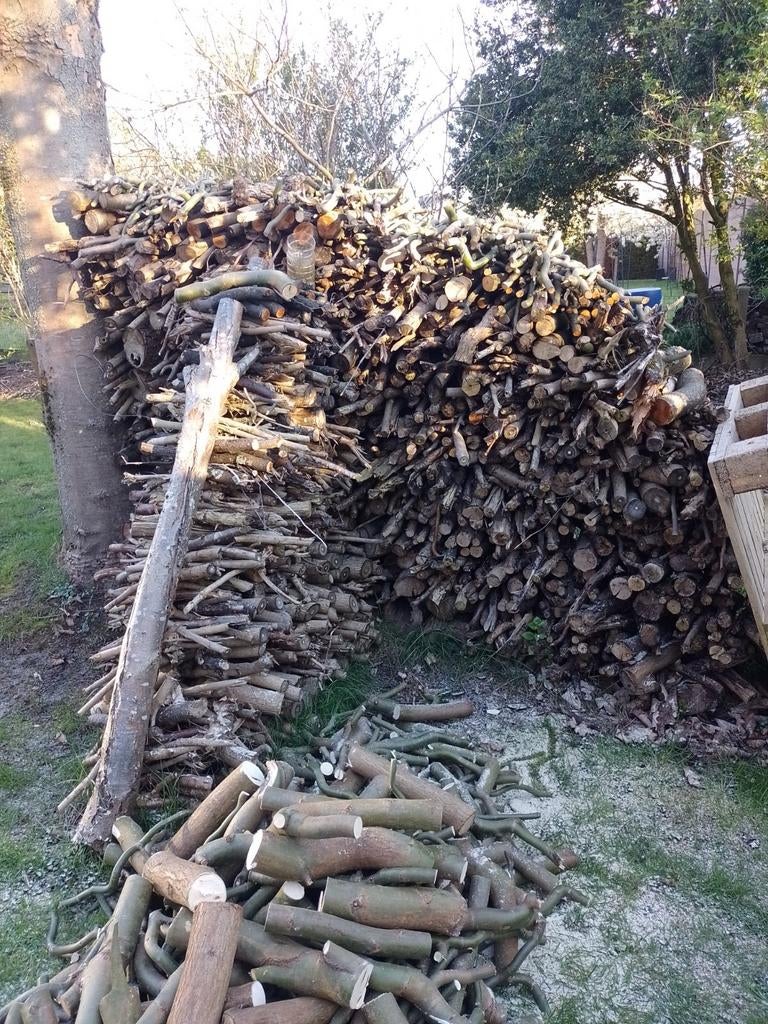 Aanmaak hout, Moins de 3 m³, Enlèvement, Autres essences de bois, Branches